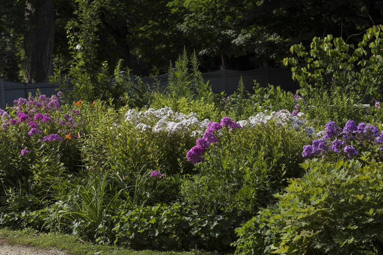 Staveleigh House Bed And Breakfast Sheffield Εξωτερικό φωτογραφία
